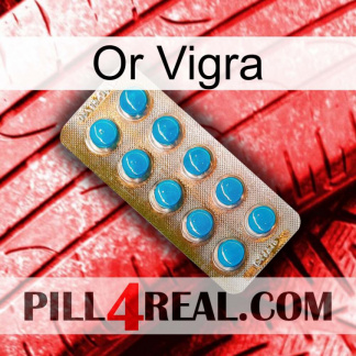 Gold Vigra new09